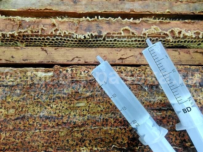 лечение пчел бипином