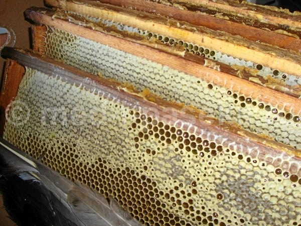 мед в рамке с сотами